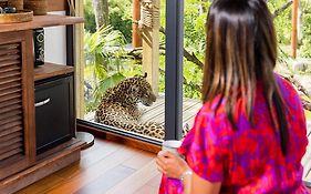 Parrot World - Les Lodges